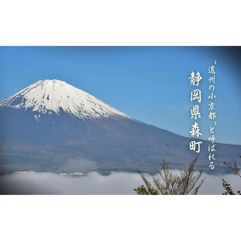 コーヒー 自家焙煎 3種セット 100g 3袋 珈琲豆 コーヒー 粉