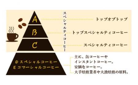 ＜プレミアムコーヒーセット＞翌月末迄に順次出荷【c221_el_x2】