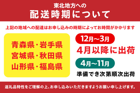 アクアプラントポット®　円Ｍ 植木鉢　フランスゴムの木（2101）