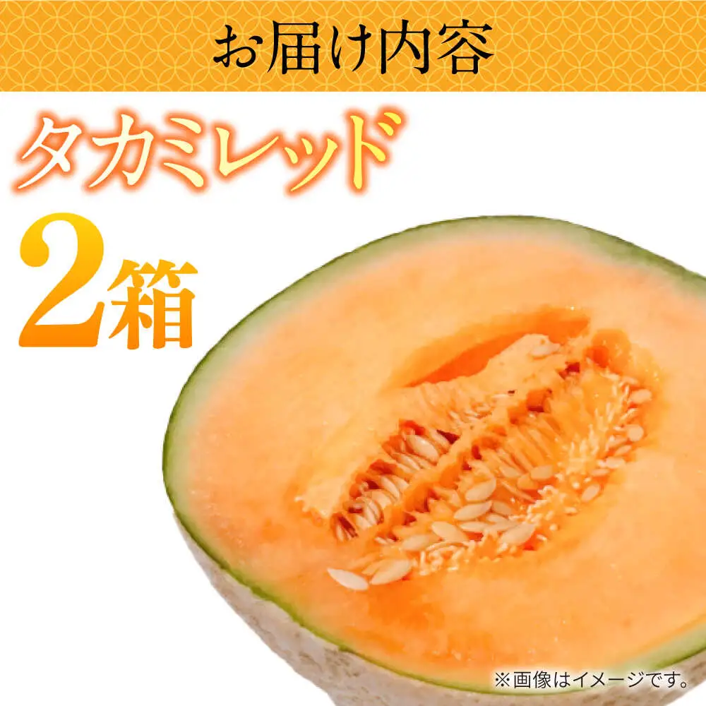 【2027年5月-発送】タカミメロン レッド 2箱（1箱 3?6玉） / メロン めろん フルーツ 果物 / 南島原市 / 南島原果物屋[SCV032]
