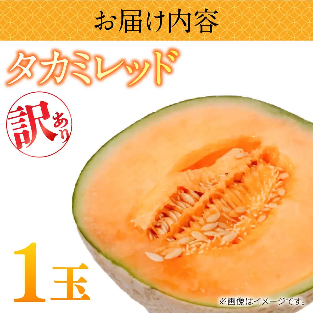 【2027年5月-発送】訳あり タカミメロン レッド 1玉 / メロン めろん フルーツ 果物 / 南島原市 / 南島原果物屋[SCV034]