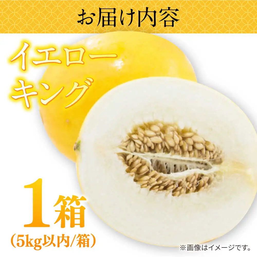【2027年5月-発送】メロン イエローキング 1箱 5kg以内（3?6玉） / メロン めろん フルーツ 果物 / 南島原市 / 南島原果物屋[SCV039]