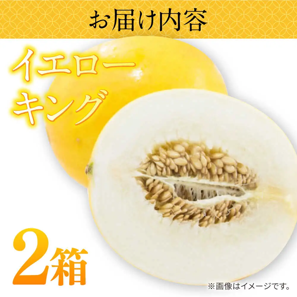 【2027年5月-発送】メロン イエローキング 2箱（1箱 3?6玉） / メロン めろん フルーツ 果物 / 南島原市 / 南島原果物屋[SCV040]