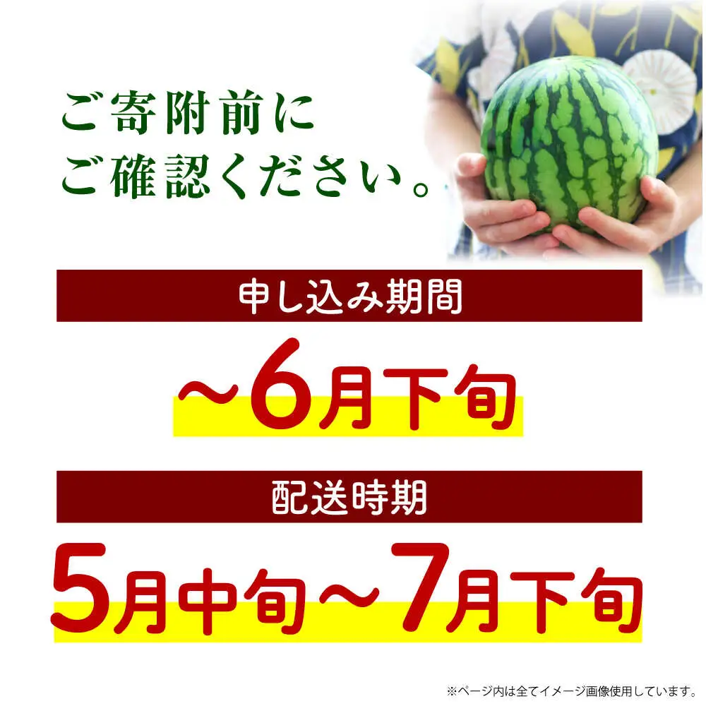 【先行予約】小玉スイカ 3L以上　1玉入り 約1.5kg 【日本フルーツ株式会社】[ZFJ011]