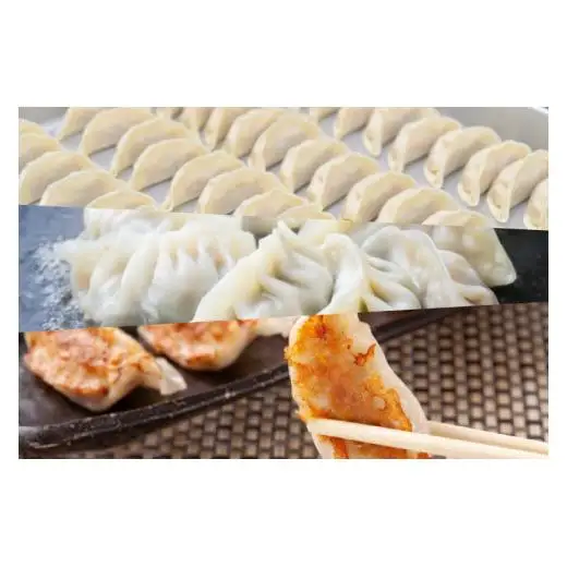 新琉流生餃子 計80個(20個入り×4パック) 