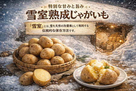 北海道産 熟成じゃがいも 北海黄金 10kg  期間限定 雪室貯蔵 十勝産 ジャガイモ