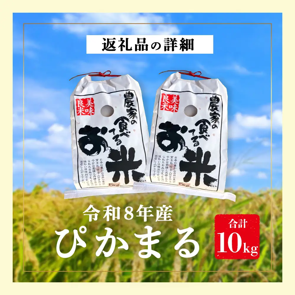【令和8年産 新米 予約】多良木町産 ぴかまる 10kg(5kg×2) 10月下旬～順次発送 熊本 065-0641