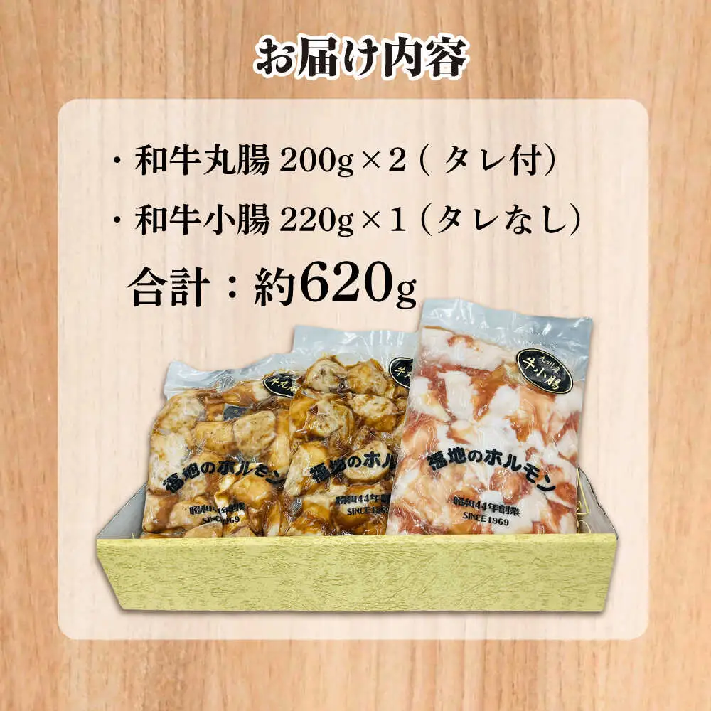 スタミナセットA　（和牛丸腸・小腸）計620g 日田市 ホルモン[ARAY003]