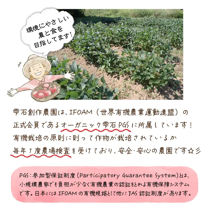 そのまま飲んでも美味しい！雫石創作農園｜トマトピューレ 250g 4袋／トマト 料理 野菜 スープ