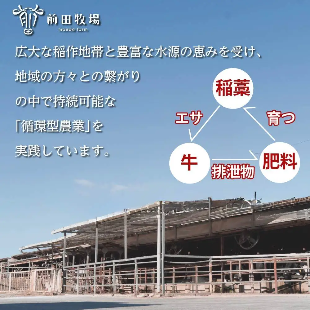 【大田原 前田牧場直送】赤身牛すき焼用切落し 500ｇ×2パック