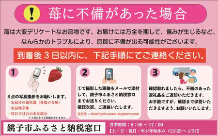 先行予約 いちご とちおとめ 約250g×4パック 計1kg 小玉 いちご