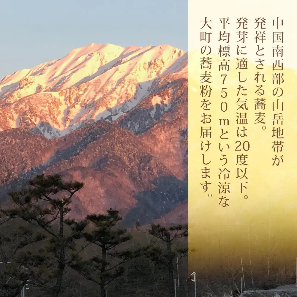 【信州大町産】そば粉『アルプスの舞』1kg×2 | そば 粉 長野