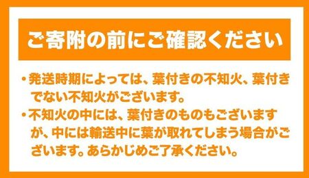 超完熟しらぬい 5kg 不知火