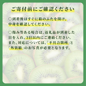 【11月後半発送分】国産キウイフルーツ 5kg 未追熟バラ詰め