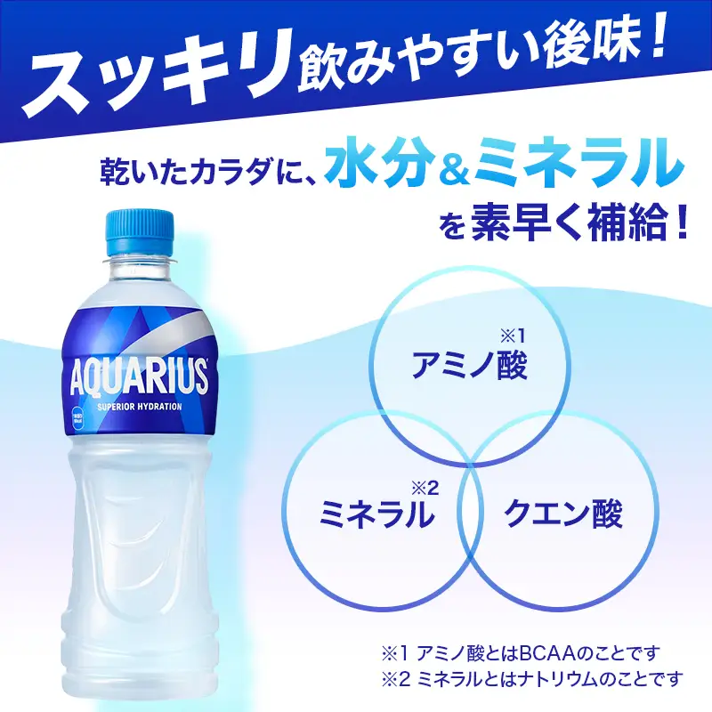 アクエリアス 500ml 定期便 3ヶ月 スポーツ コカ・コーラ 