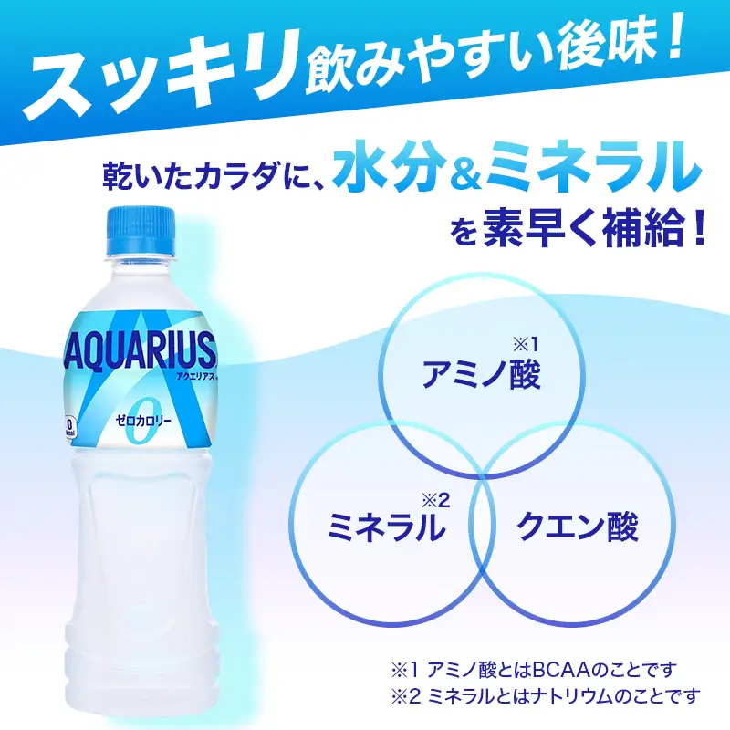 アクエリアス ゼロ 500ml 定期便3ヶ月 スポーツ コカ・コーラ