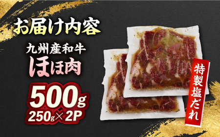 【ほほ肉】九州産和牛 味付きほほ肉 500g（250g×2袋）長与町/岩永ホルモン[EAX194] 
