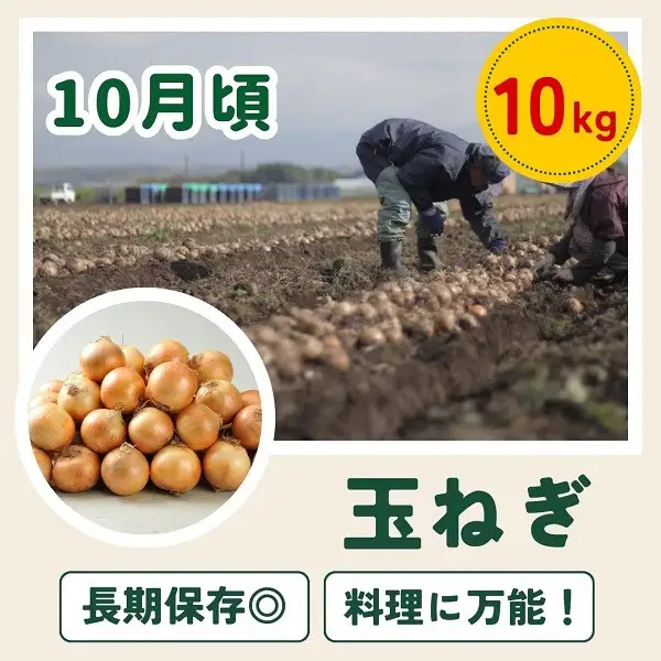 野菜セット 【令和9年産予約受付】 4回 定期便 美瑛の四季 白樺（大） 野菜詰め合わせ 