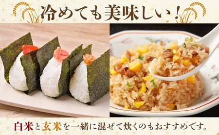 彩のきずな埼玉県産彩のきずな【10kg】【玄米】