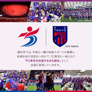 3回 定期便 FC TOKYO GOLDEN ALE 12本 缶ビール 計 36本  |  アルコール 酒 ビール FC東京 