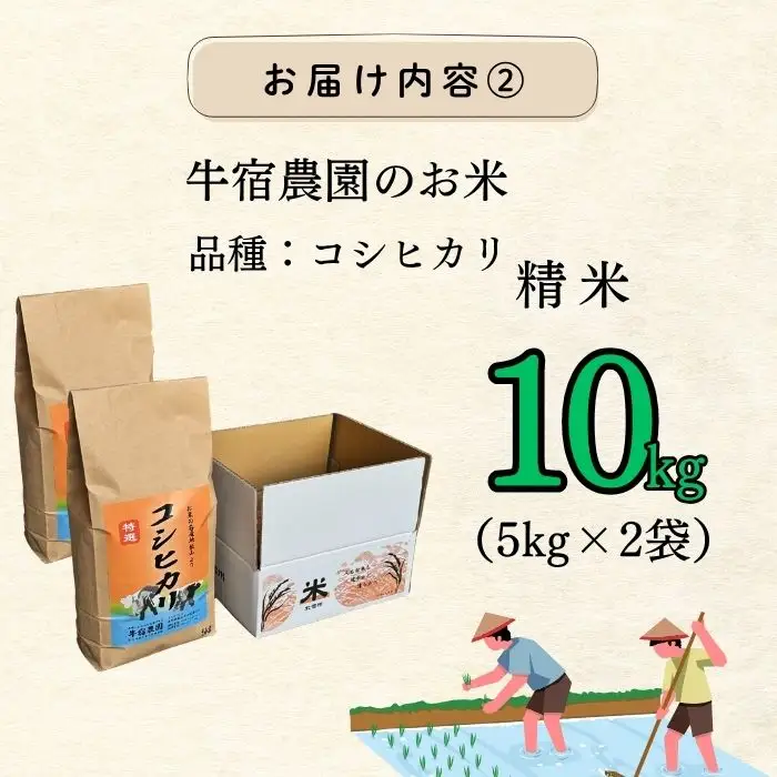 【令和8年 新米予約】コシヒカリ 精米 10㎏ （5kg×2袋）牛宿農園 