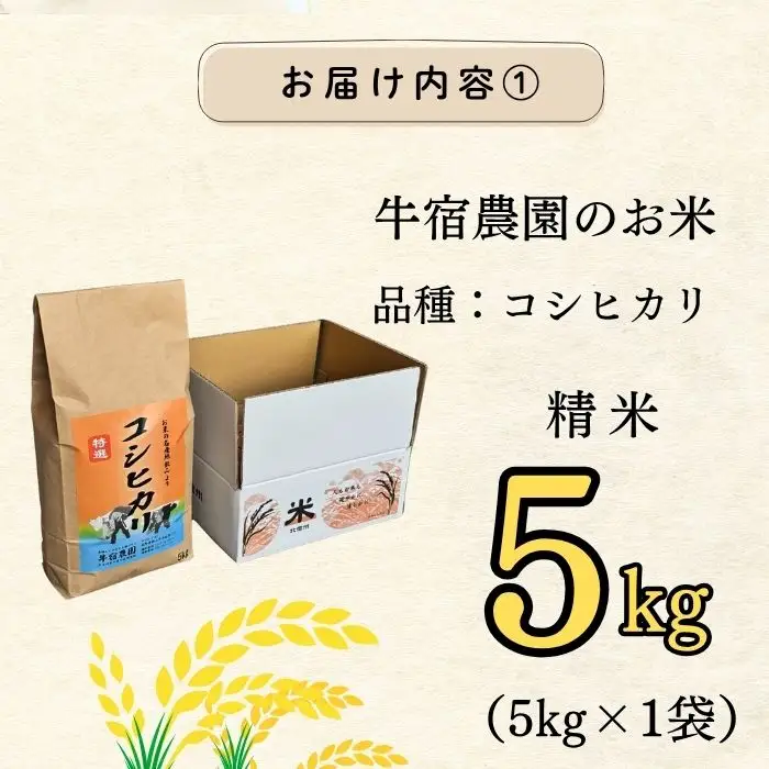 【新米予約】コシヒカリ 精米 5㎏  牛宿農園
