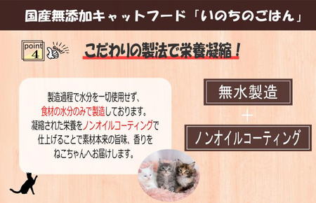 国産無添加 キャットフード 1kg「いのちのごはん」タンパク質 50％配合タイプ