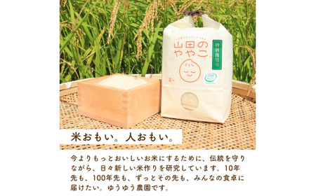 令和8年産新米 特別栽培米 コシヒカリ 山田のややこ 10kg |  コシヒカリ 精米 茨城県 龍ケ崎市   