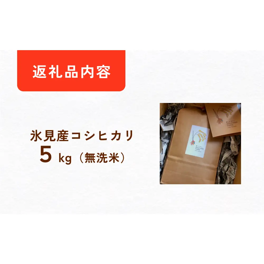 〈無洗米〉 米 令和7年産 富山県氷見産 コシヒカリ 5kg