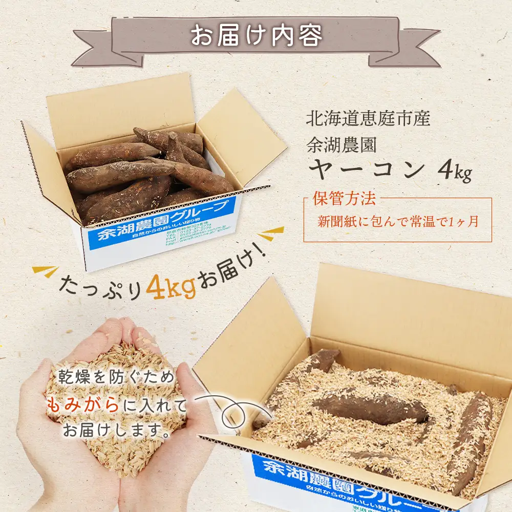 【先行予約】【北海道恵庭市産】余湖農園のヤーコン4kg【31001402】
