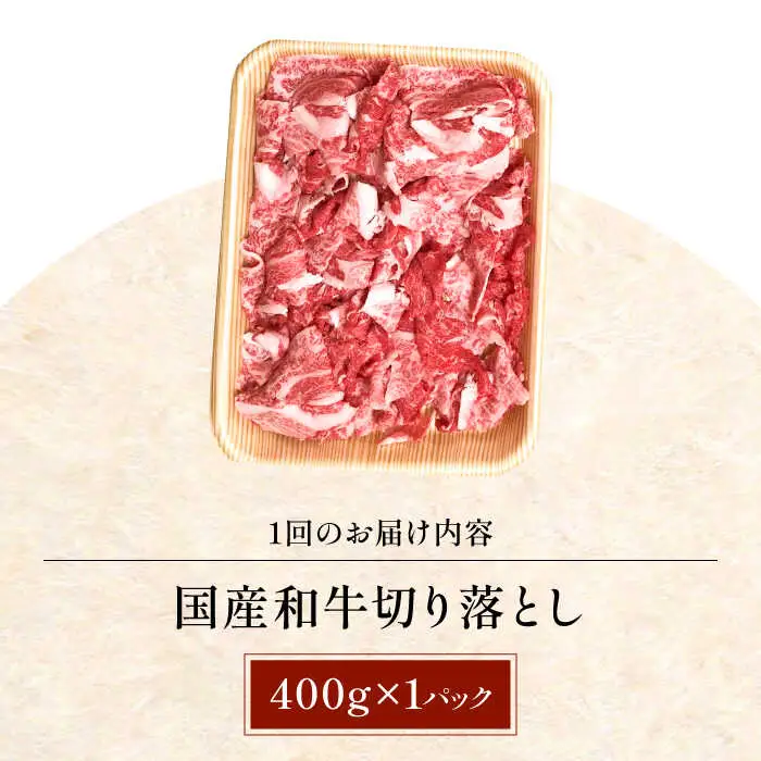 【全12回定期便】国産和牛切落し 400ｇ[AOAI048]切り落とし