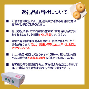 【ふるさと納税】＜2026年9月中旬～10月上旬ごろ発送予定＞＜訳あり 規格外 あきづき梨 3kg(4～7玉)＞先行受付予約 家庭用 自宅用 変形 しみ キズ サイズ混合 ナシ フルーツ グルメ 常温 黒岩 なし 旬 朝ドラ らんまん モデル 牧野富太郎のふるさと 佐川から直送