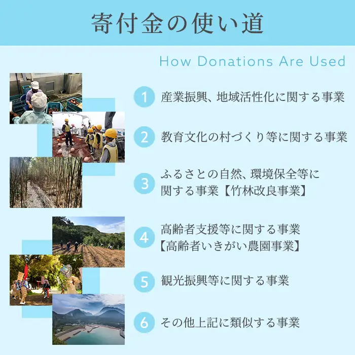 msm-024 《返礼品なし》三島村への応援寄附【三島村】