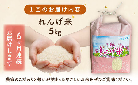 【全6回定期便】【令和7年度米】栽培期間中農薬不使用 農家のおいしいお米 5kg×6回【浅田峠自然塾】[EA18]
