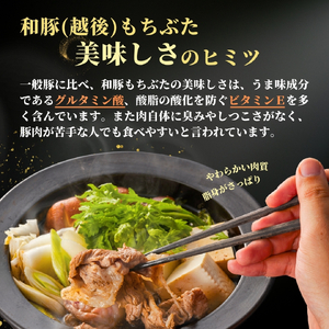 豚肉 越後もちぶた ロース薄切り 1kg (500g×2パック)  | 豚肉 新潟県