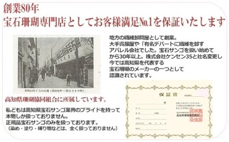 【数珠】白珊瑚 片手数珠