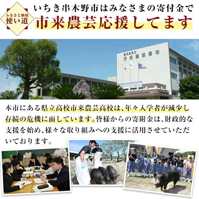 金の桜黒豚 3種 おかず 詰め合わせ 18食分「黒豚煮込み ハンバーグ （180g×6袋）」「黒豚チーズインハンバーグ（180g×6袋）」「 黒豚味噌ステーキ（90g×6袋）」【00-057-40】