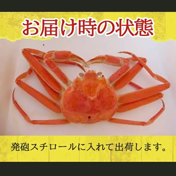ボイル 本ズワイガニ 1匹 350g程度 遊佐沖 10月中旬～12月下旬頃お届け 冷蔵便 ※着日指定・離島（沖縄県を含む）発送不可 1人前 東北 山形県 遊佐町 庄内地方 日本海 カニ 蟹 かに 海産物 シーフード 海鮮 新鮮 まるごと ボイル 焼き 期間限定 ゆで 茹で [850]