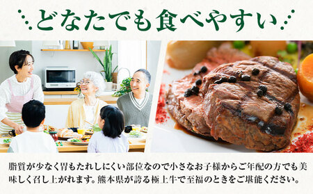 【A4～A5】 くまもと黒毛和牛 ヒレステーキ 450g(150g×3枚) 《30日以内に出荷予定(土日祝除く)》熊本県 大津町 黒毛和牛 肉 お肉 和牛 牛 牛肉 A5 A4 ヒレ ステーキ MEAT PLUS