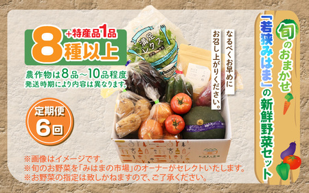 定期便 《6ヶ月連続お届け》旬のおまかせ「若狭みはま」の新鮮野菜セット 8種以上＋特産品1品【ふるさと納税 春野菜 夏野菜 秋野菜 冬野菜  定期便 定期 やさい 野菜 セット 詰合せ 大容量 産地直送 旬 新鮮 採れたて おススメ 人気 】  [m80-g001]