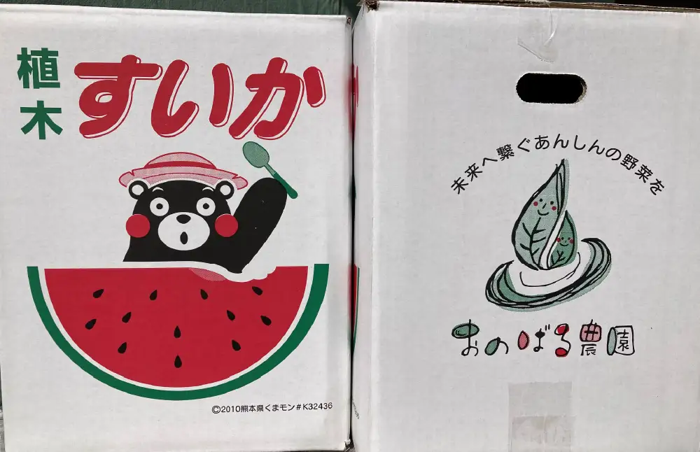 ＜ R8年熊本地震復興支援 ＞大玉スイカ 1玉（6kg以上） スイカ すいか 西瓜 大玉 果実 国産 熊本県産 【2027年4月下旬～5月下旬迄発送予定】