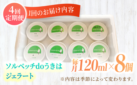 【年4回定期便】果樹園が作る 素材の味を楽しめる 旬のジェラート 120ml×8個セット【ソルベッチdoうきは】着色料不使用 ノンホモ牛乳使用 ジェラート アイス 旬 スイーツ 詰め合わせ セット シャーベット ミルク フルーツ デザート 定期便