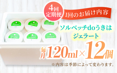 【年4回定期便】果樹園が作る 素材の味を楽しめる 旬のジェラート 120ml×12個セット【ソルベッチdoうきは】着色料不使用 ノンホモ牛乳使用 ジェラート アイス 旬 スイーツ 詰め合わせ セット シャーベット ミルク フルーツ デザート 定期便