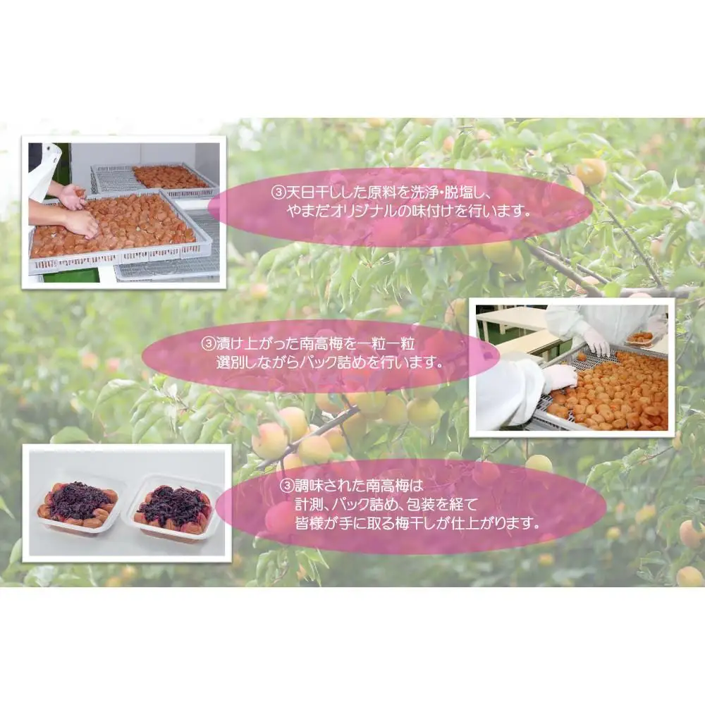 紀州南高梅 しそプレミアム塩分約6％ 500g ［YM13］