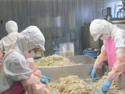 【訳あり】冷凍千切りごぼう 工場直送簡易包装 小分けパック100g×12袋