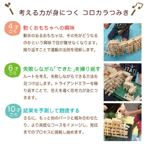 つみきのスタートセット コロカラ＆からからつみきセット30Pギフトボックス入り