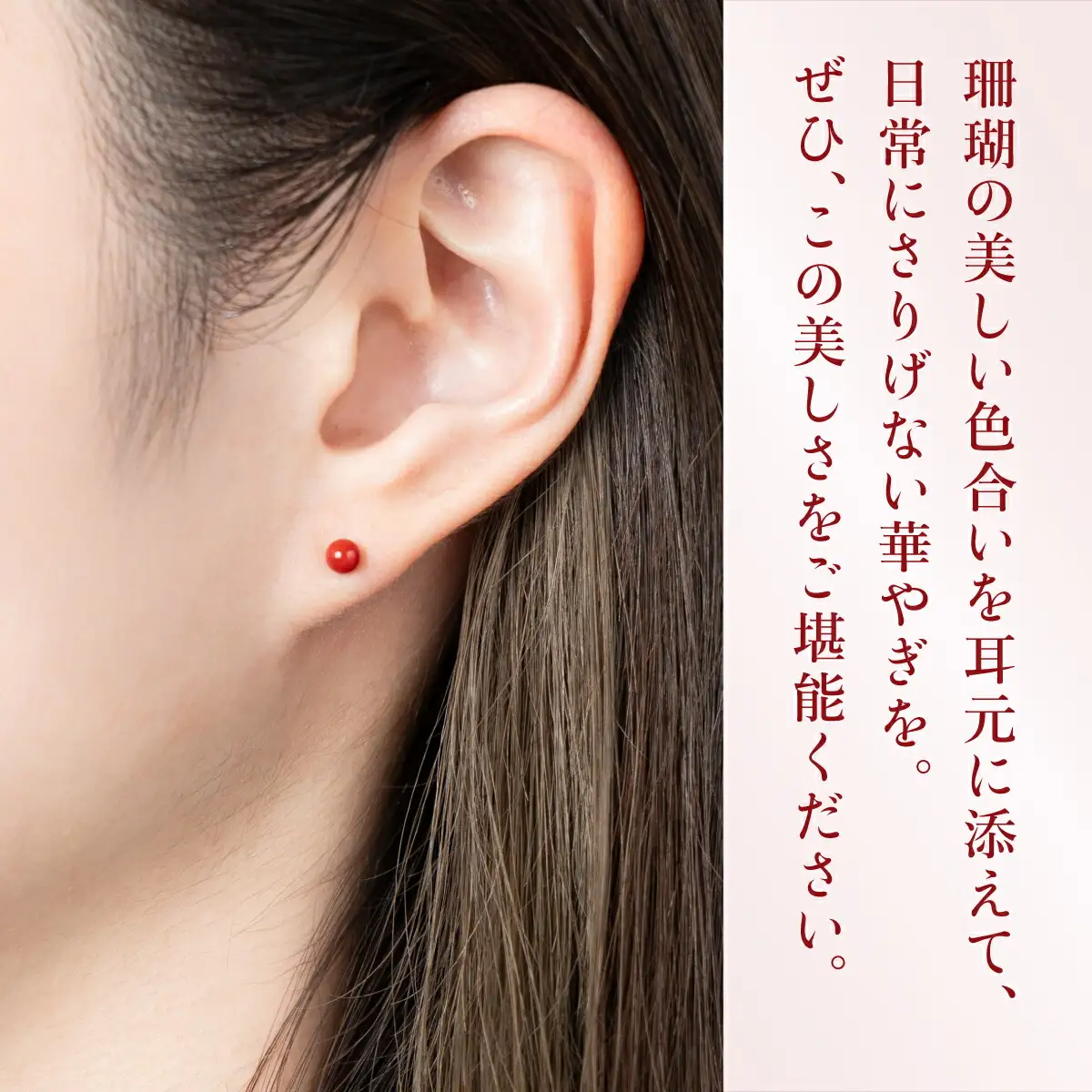 赤珊瑚 ピアス 珊瑚 FN-Limited-PR