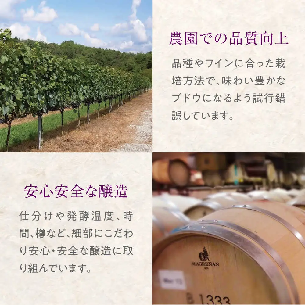 【スピード発送】TOMOEデラウェア 白ワイン 辛口 [APAZ001] 白ワイン