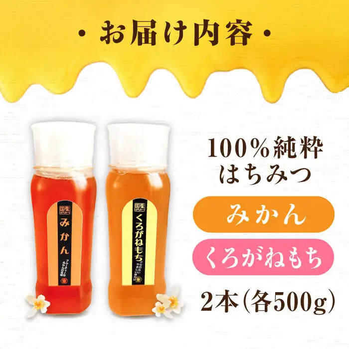 はちみつ チューブ2本セット（みかん・くろがねもち）各500g [APBO007] はちみつ