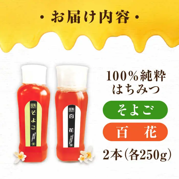 はちみつ チューブ2本セット（百花・そよご）各250g [APBO010] はちみつ